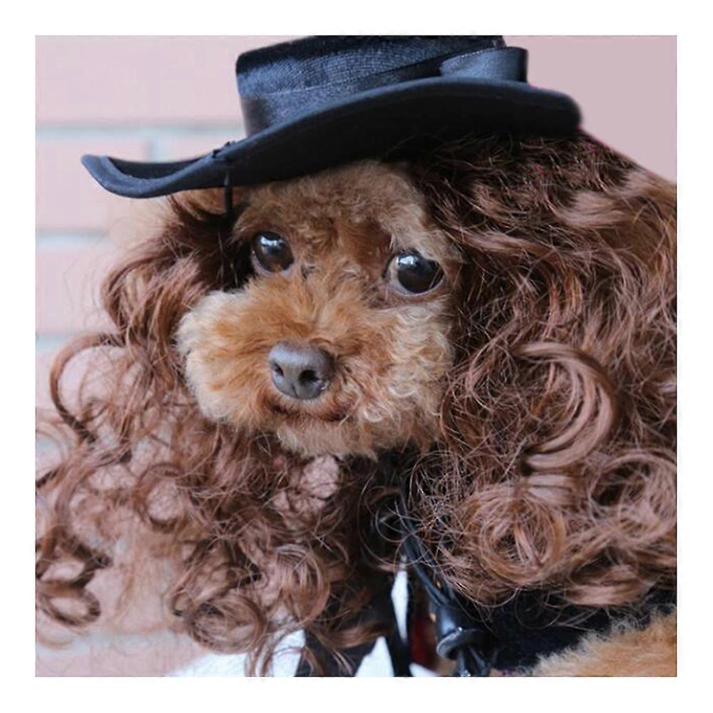 Pet Dog Clothes Cloak Wig Hat Suit
