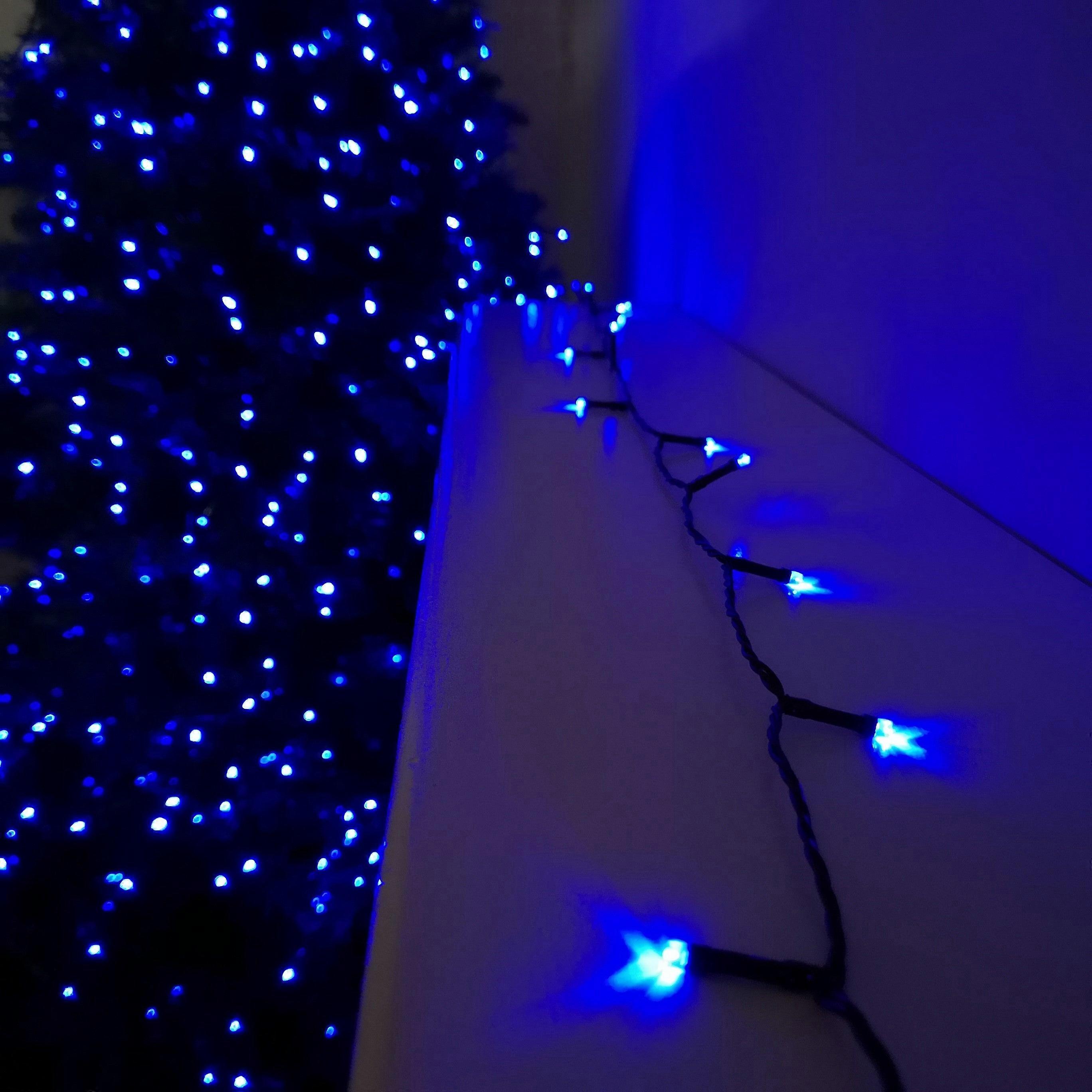 24 Led 2.3m Premier Christmas Indoor Outdoor Multi Function Battery Operated String Lights With Timer In Blue