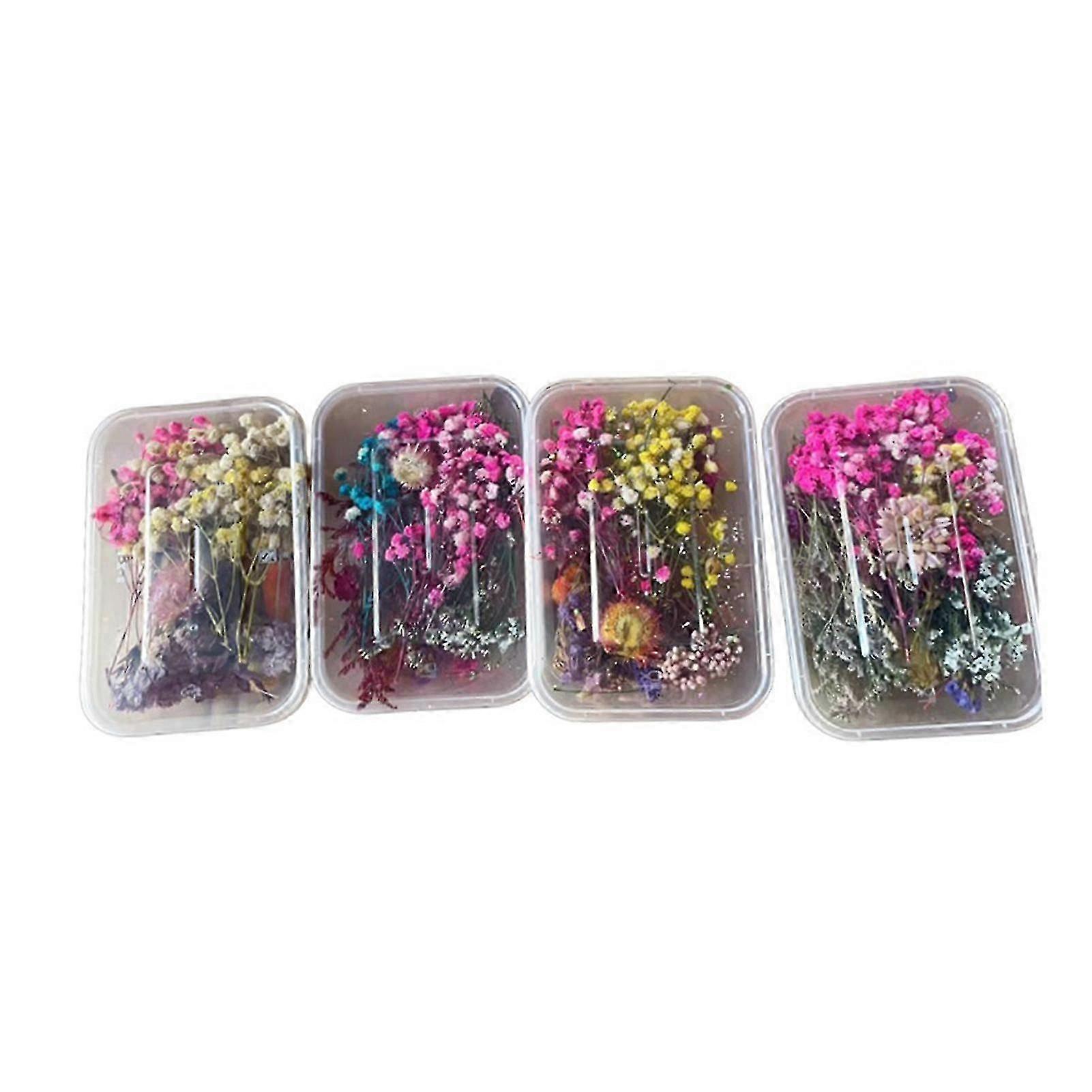 Bulk Dried Flowers Kit Real Natural Flowers for DIY Everlasting Flower Craft Materials for Handmade Jewelry and Nail Art