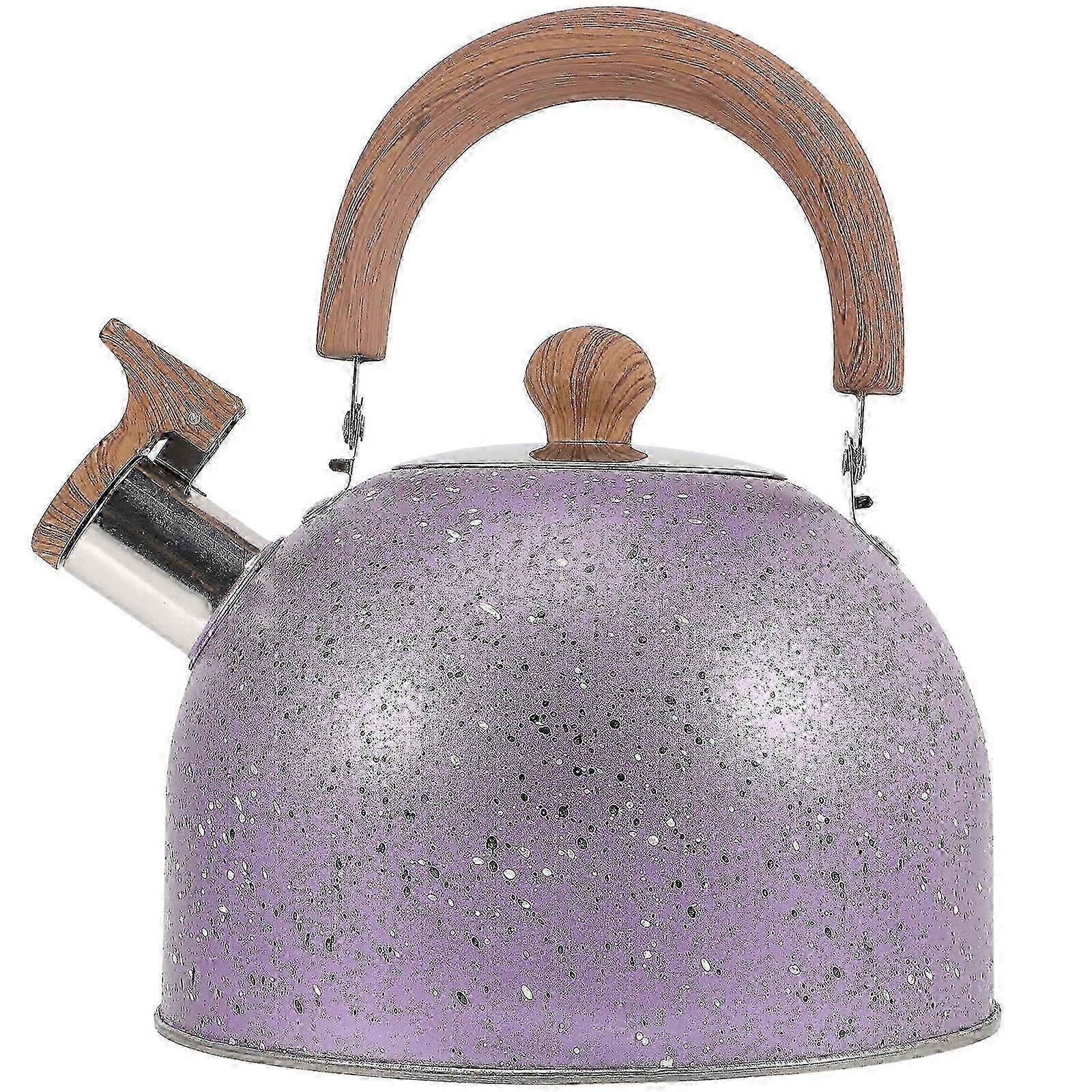 Convenient Water Kettle With Handle 2l Hot