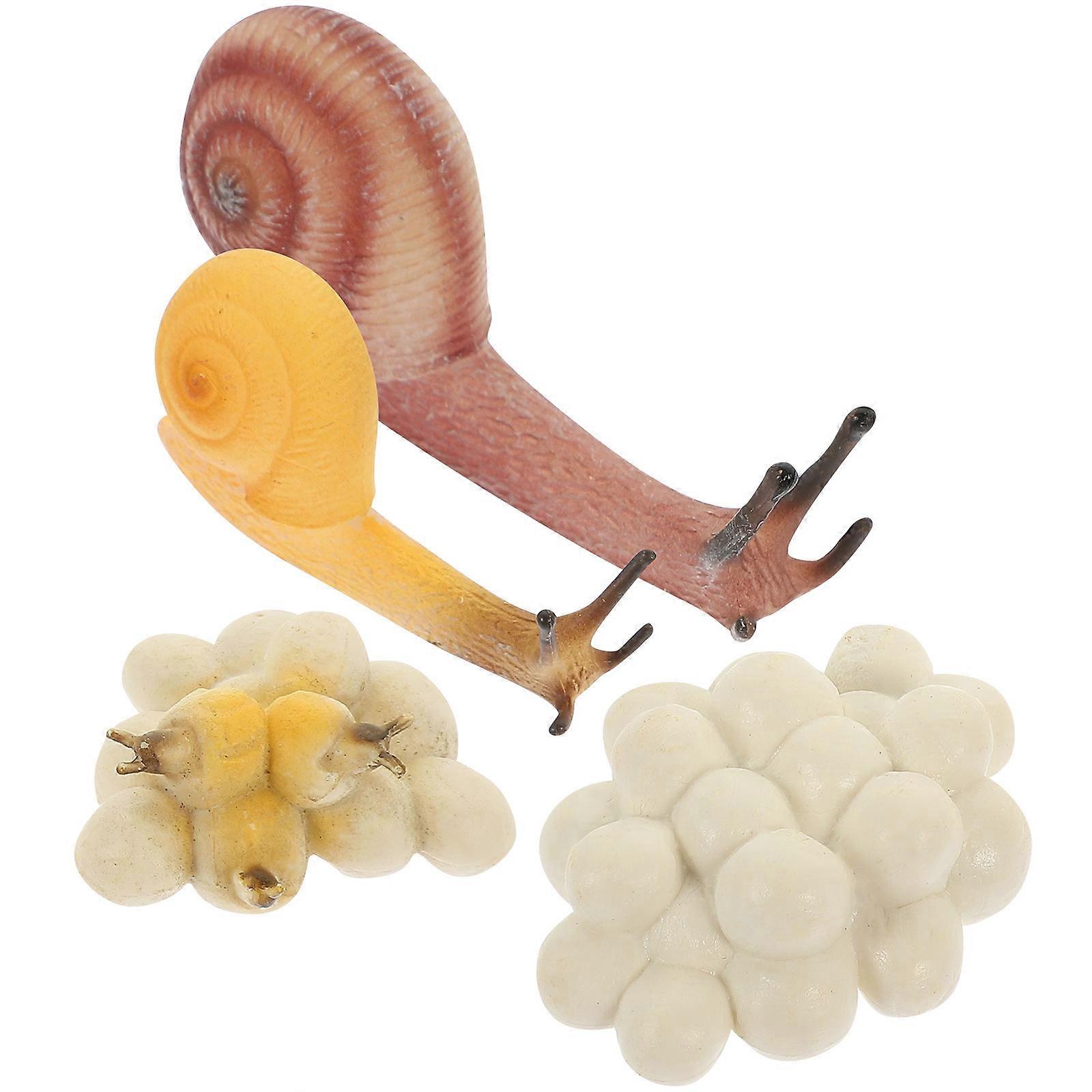 The product **"1 Set Snail Growth Cycle Models Educational Simulation Snail Figurines To Enhance Cognitive Learning And Imagination"** is an