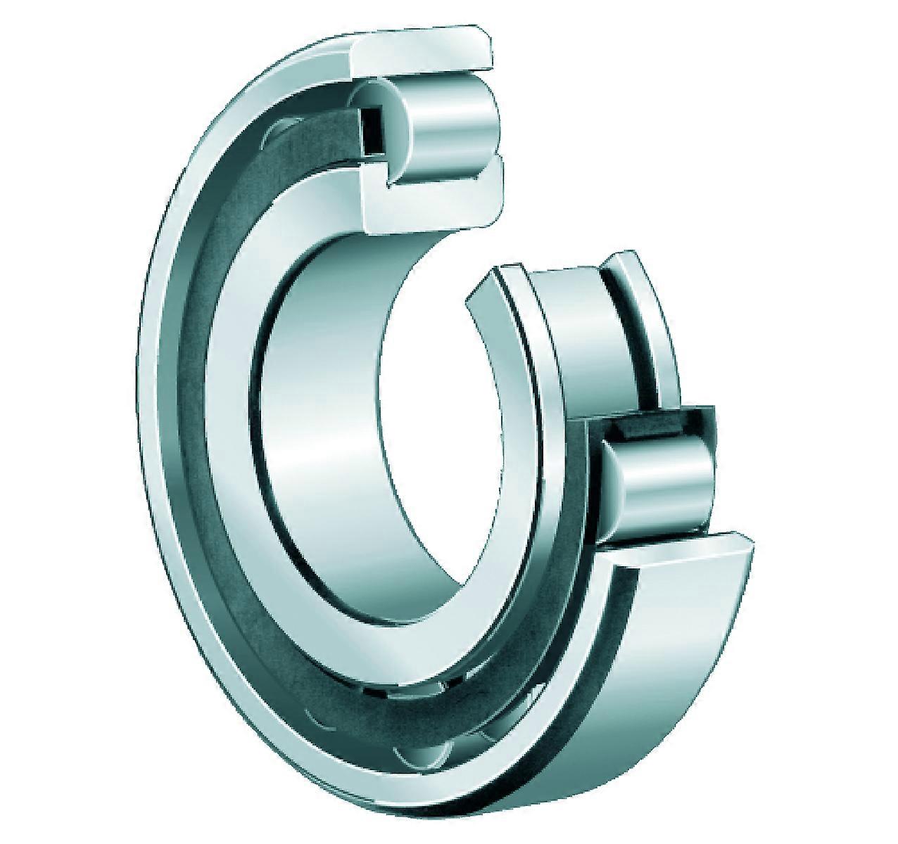 FAG N219-E-TVP2 Single Row Full Complement Cylindrical Roller Bearing