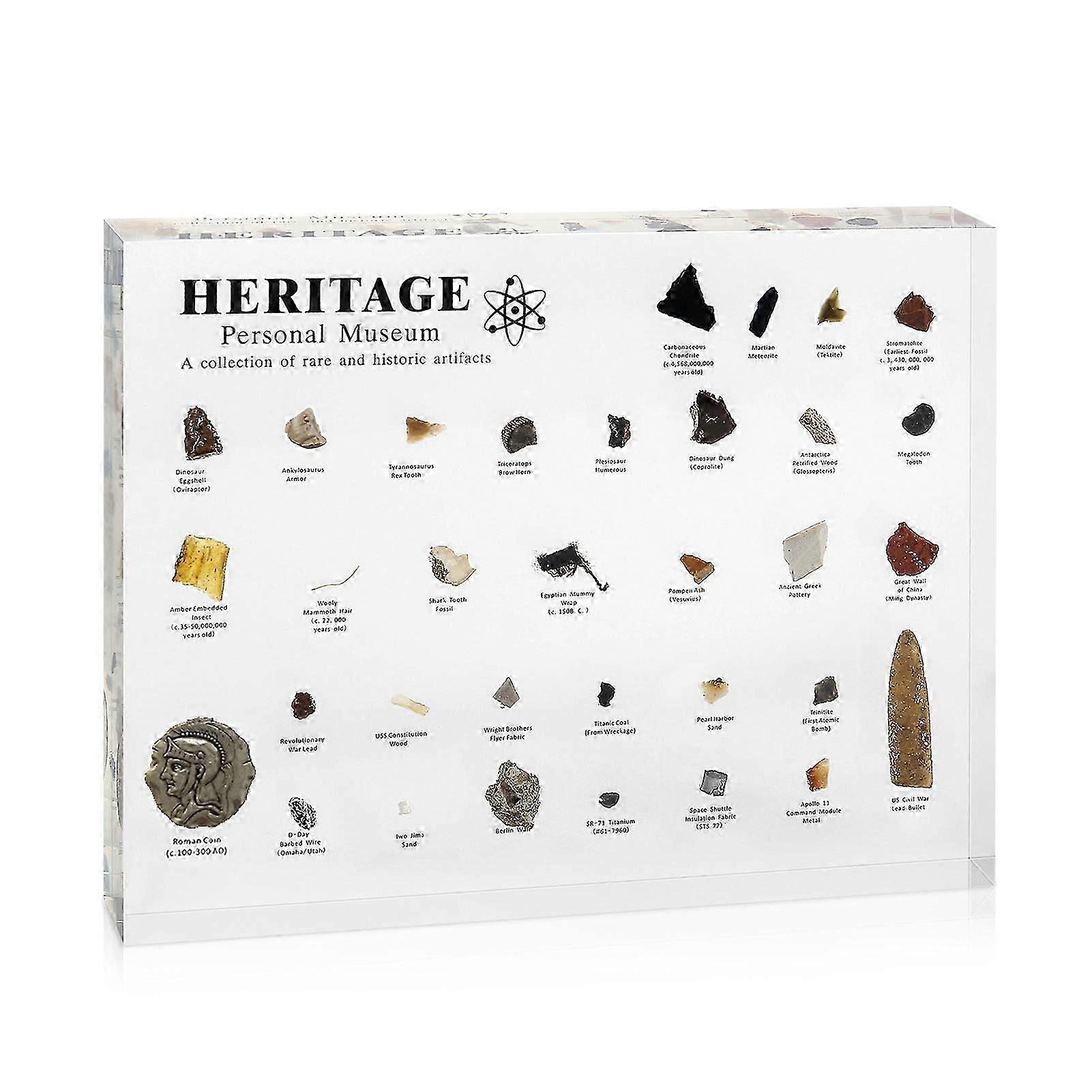 natural history museum display with real sample resin mini