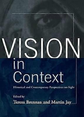 Vision in Context