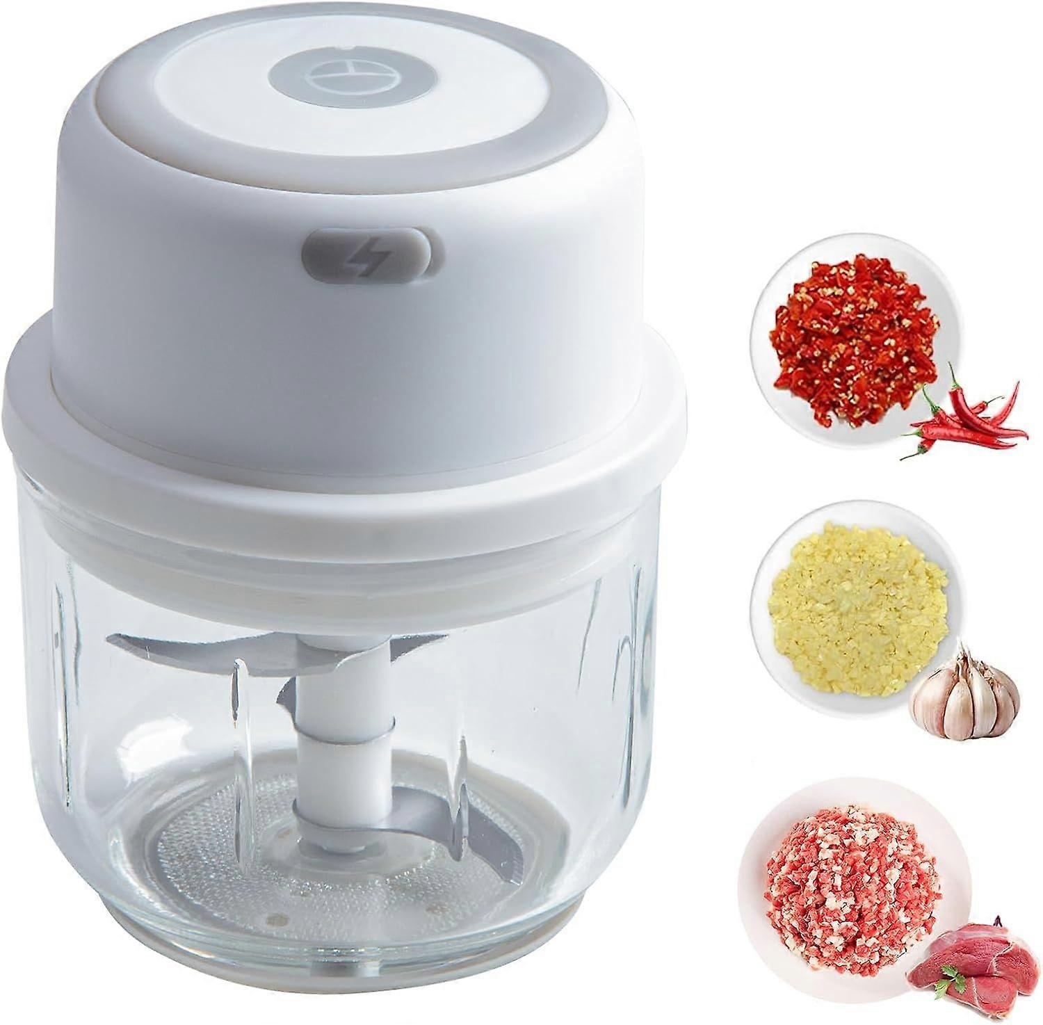 Electric Garlic Chopper Portable Small Food Processor, 300ML Glass Containers with Food Divider