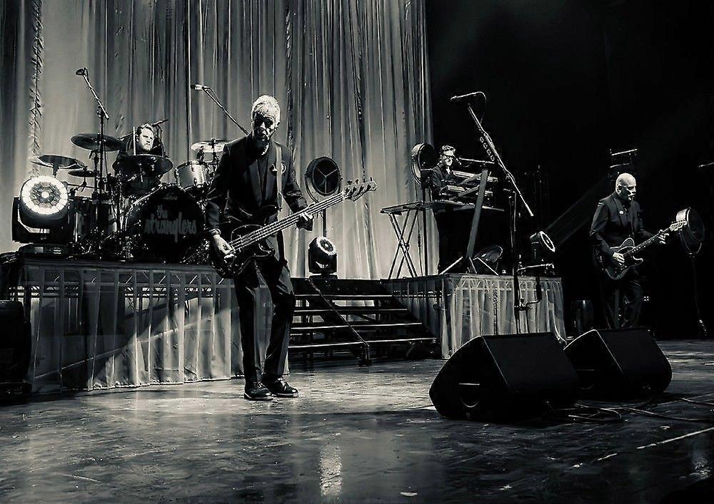 Stranglers stresslindrande pussel AY0363