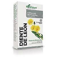 14 S Dandelion (XXI Formula) 30 capsules