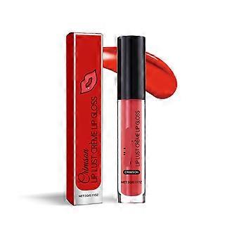 Lipglossset van 2 stuks met ingebouwd kwastje, langdurige, hydraterende, niet-plakkerige, levendige kleur.