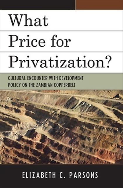 What Price For Privatization by Elizabeth C. Parsons Paperback Book