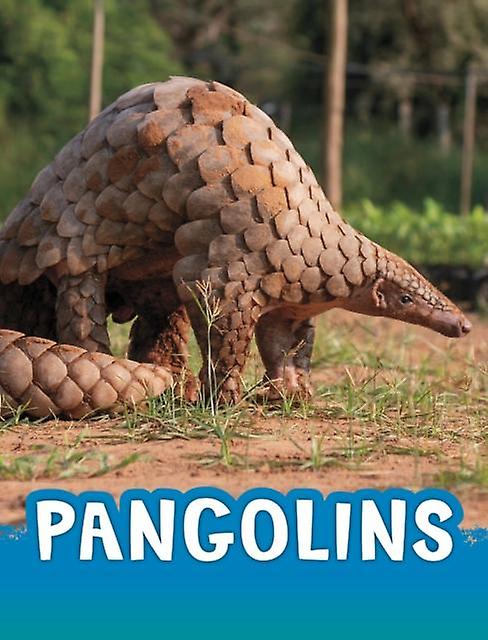 Pangolins by Jaclyn Jaycox Paperback