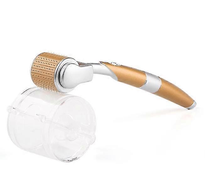 Zgts 192 דרמה רולר טיטניום מיקרו מחטים מערכת דרמולר דרמה רולר מזותרפיה 0.25/0.30/0.5/0.75/1.0/1.5/2.0/2.5/3.0mm מחטים לפנים C