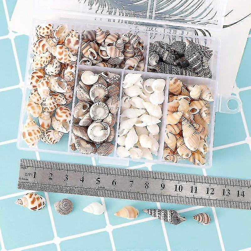 Over 100pcs/box Natural Conch Shells Aquarium Landscape Seashells Crafts Decor