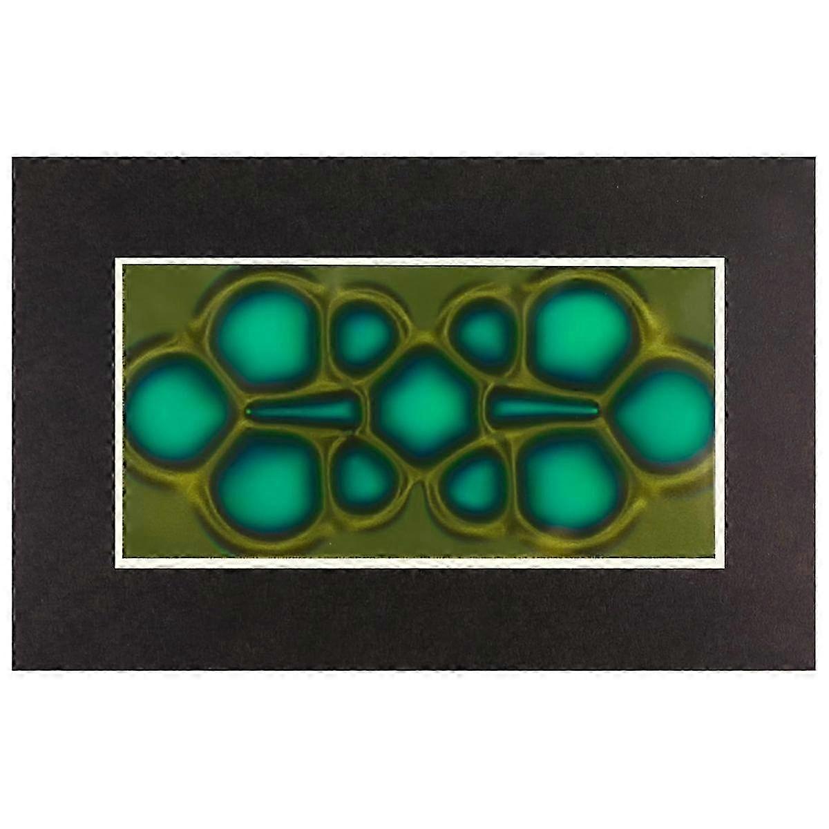 Magnetic Viewing Film, 2inchx 4inch Magnetic Field Viewer For Scientific Projects,reusable And Automatic Recovery