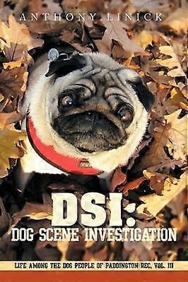 Dsi