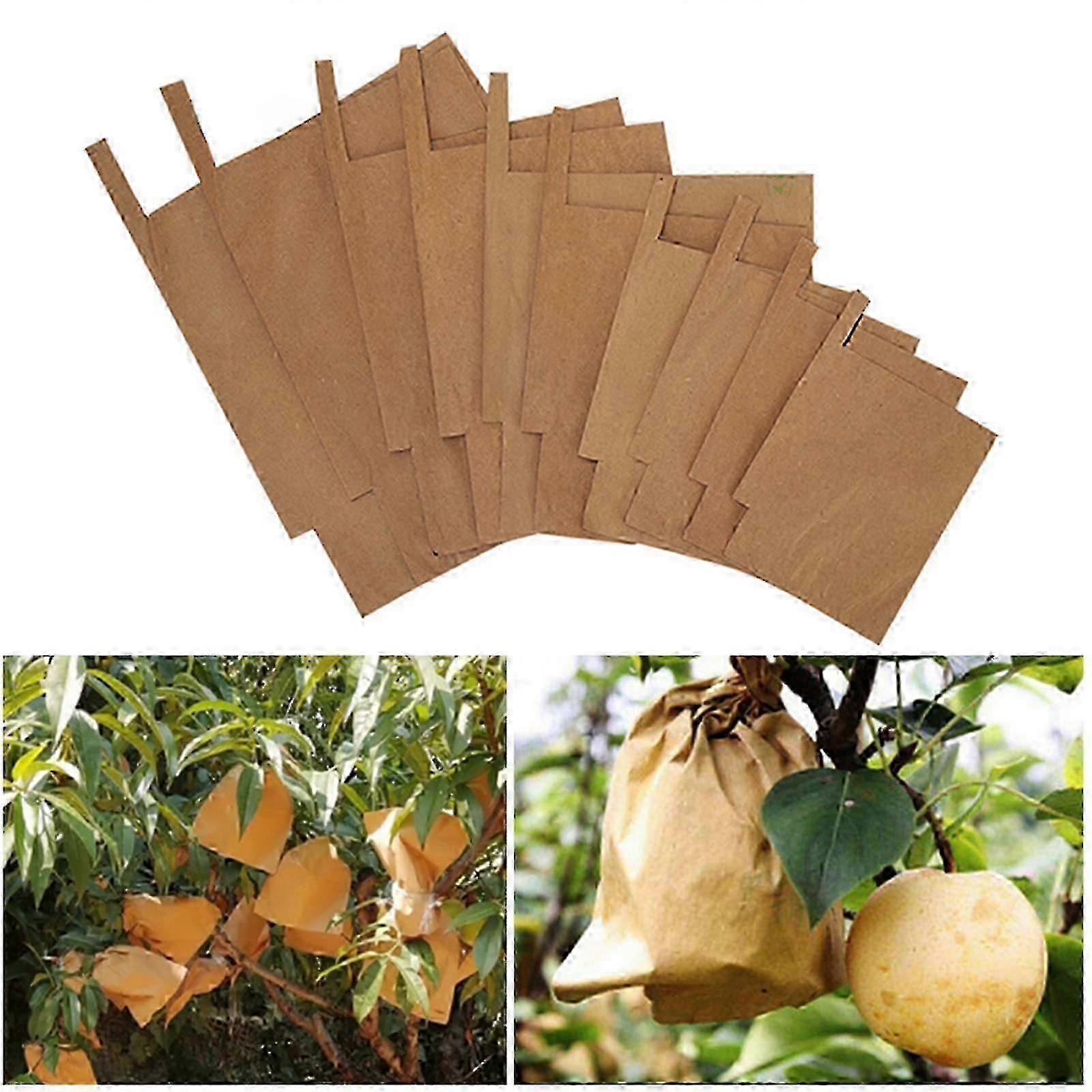 Bolsas protectoras para frutas (paquete de 100)