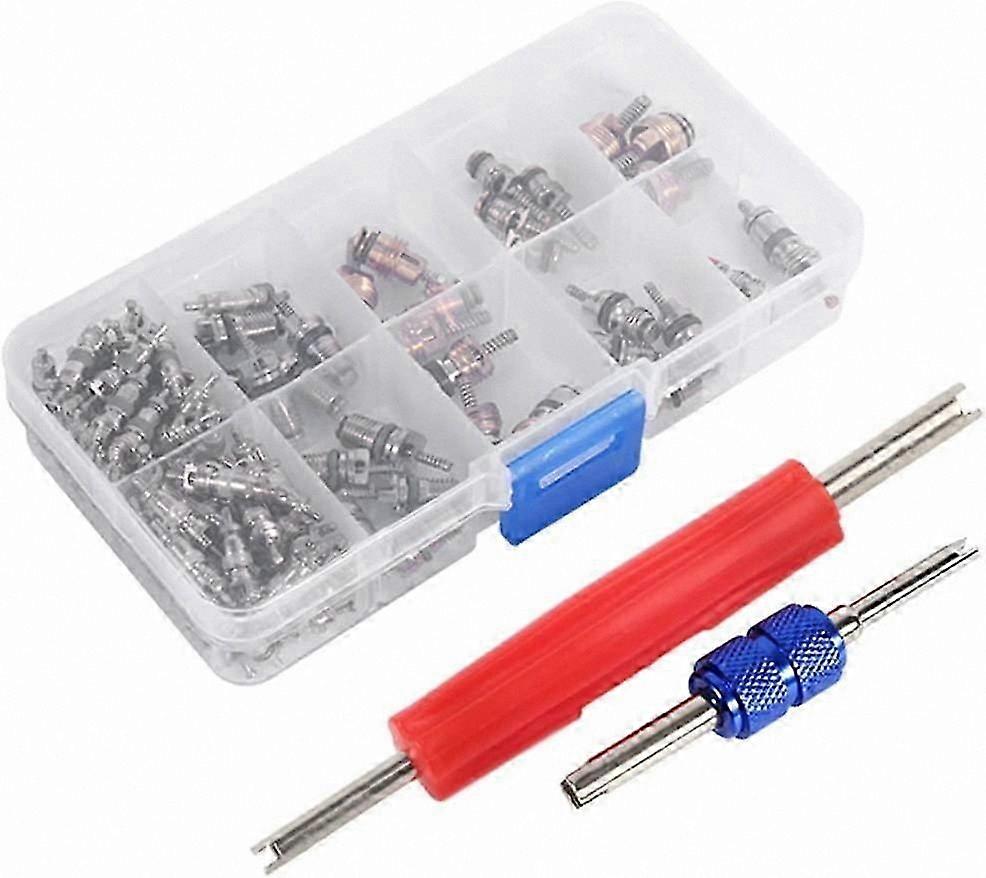102-Piece A/C Valve Core Tool Kit for R134a/R12 Refrigeration and Tire Valve Stem Maintenance