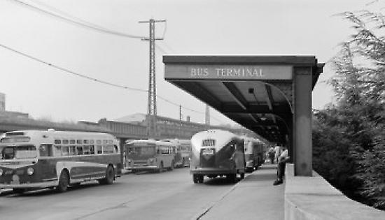 Buses on a road Poster