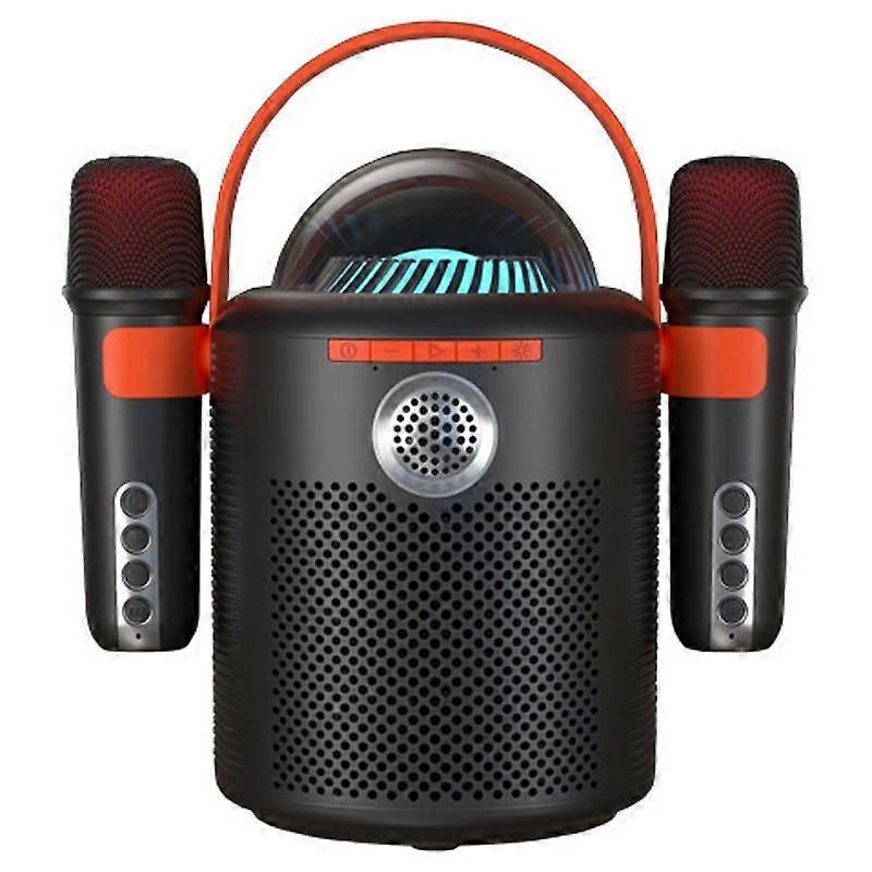 Wireless Karaoke Dual Microphone Bluetooth Speaker