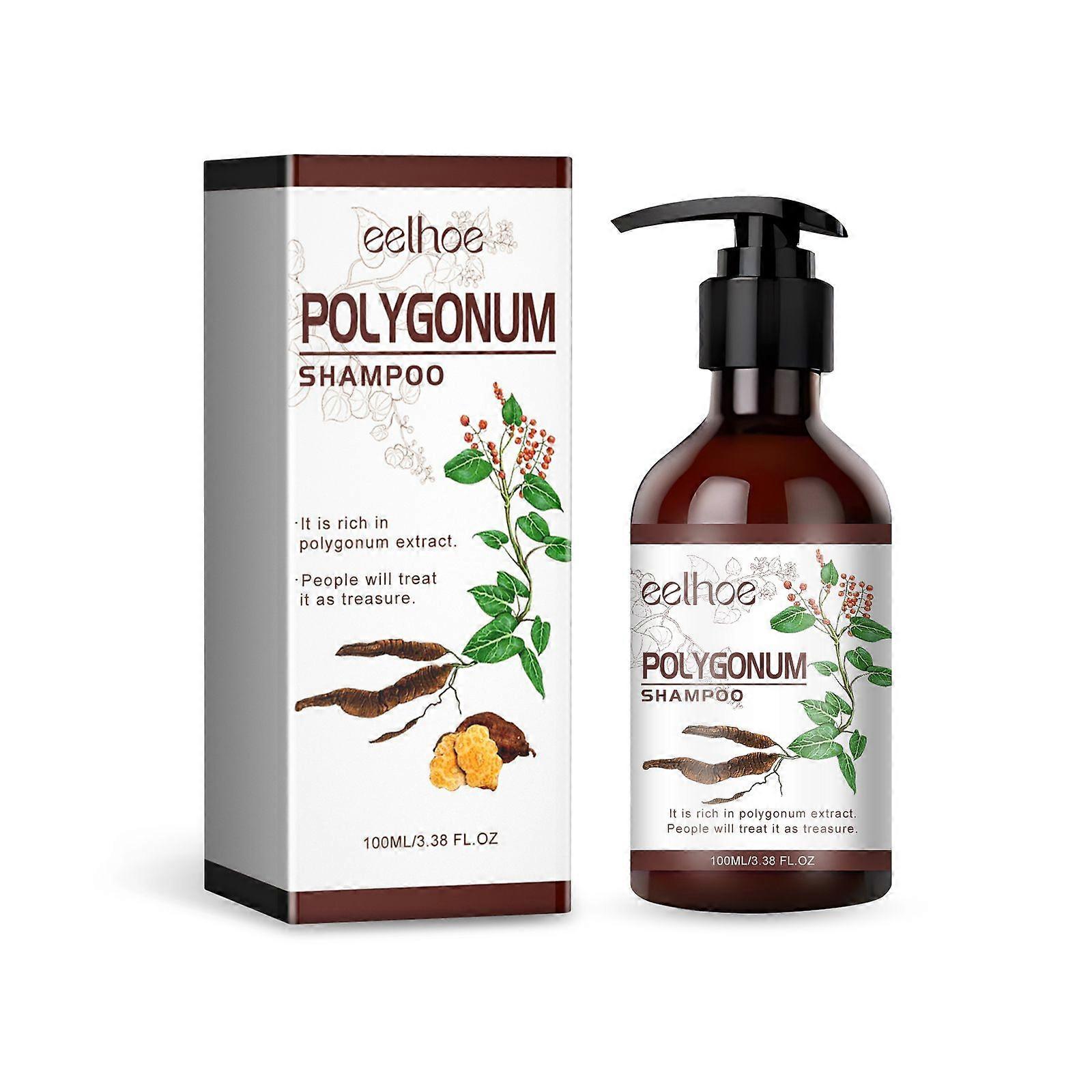 Polygonum Multiflorum Shampoo Contains Ginger Extract And Polygonum Multiflorum Root Extract
