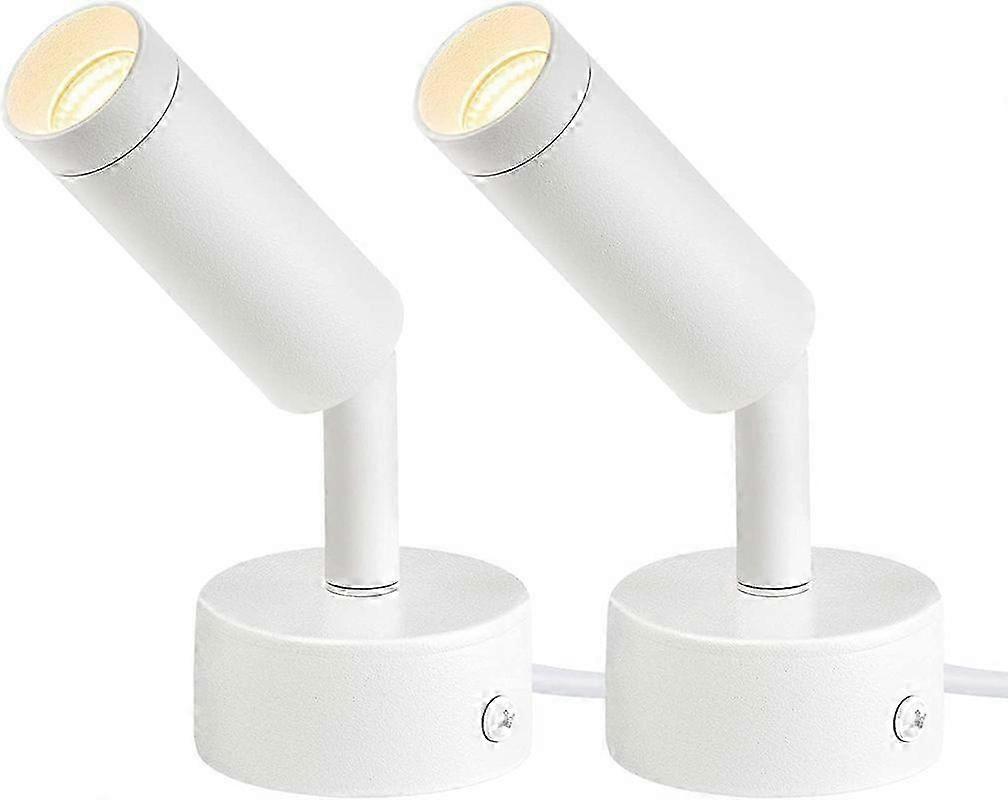 2 Pack Indoor 220V Spot Lights