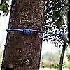 Clothesline, Adjustable Retractable Clothesline, Portable Clothesline With Clips