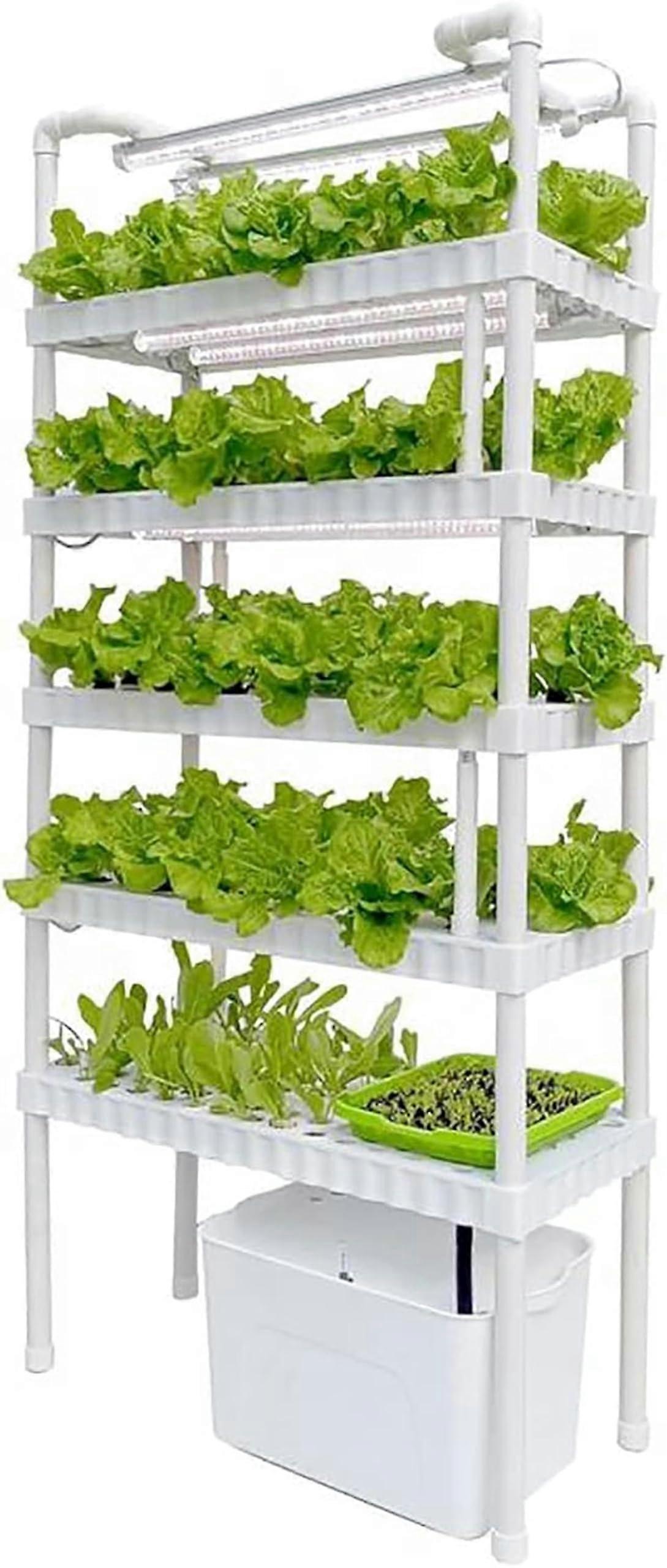 5Tier Indoor Hydroponic Growing System with Automatic Watering, LED Lights for Vertical Garden