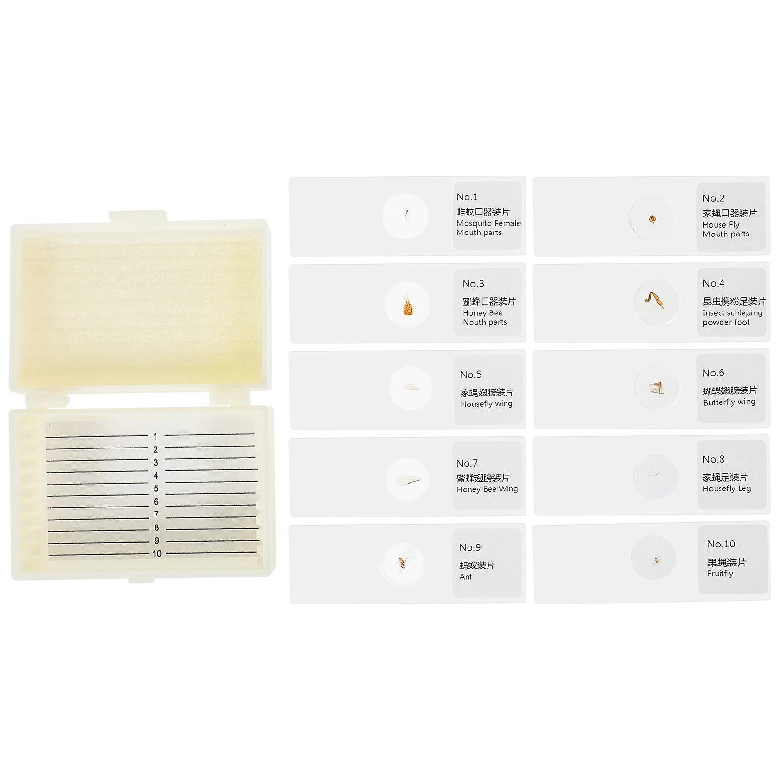 Prepared Microscope Slides for Microbiology Glass Slides with Specimens 40Pcs