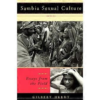 Sambia sexuella kultur: Essäer från fältet (världar av lust)