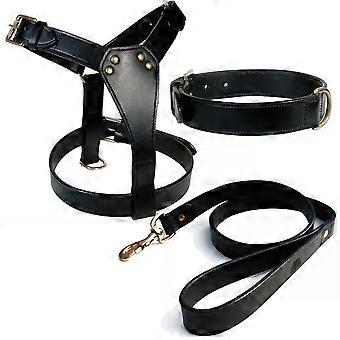 LEATHER DOG PLAIN HARNESS* COLLAR* 1" WIDE LEAD COMBINE SET IN BRASS FITTINGS
