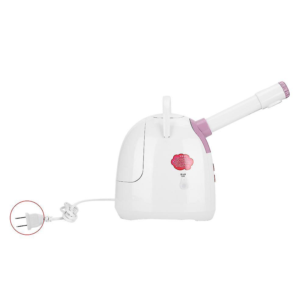 Face Steamer Hot Cold Warm Spray Vegetable Fruit Aromatherapy Face Steaming Devicesus Plug 110v