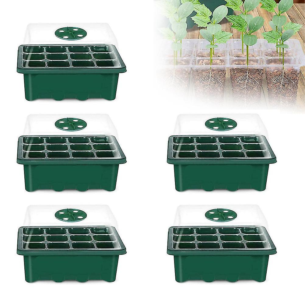 12-cellers frøstartbrett for hagearbeid og balkongbarnehager