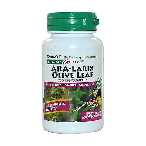 Ara-Larix 7 olive leaf 30 tablets