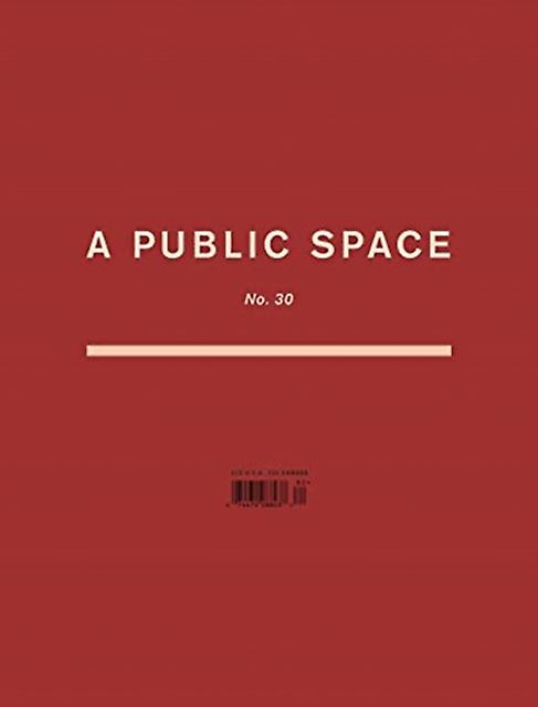 A Public Space No. 30 Paperback