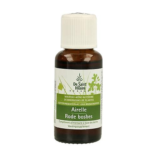 Organic Cranberry Macerate (Rode bosbes) 30 ml