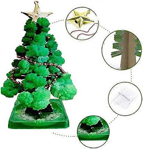 Set of 2 Mini Growing Magical Christmas Tree, Science Kits and Learning Guide