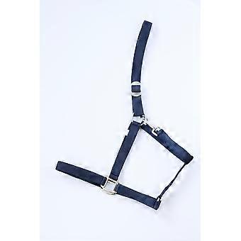 Apollo Nylon Headcollar