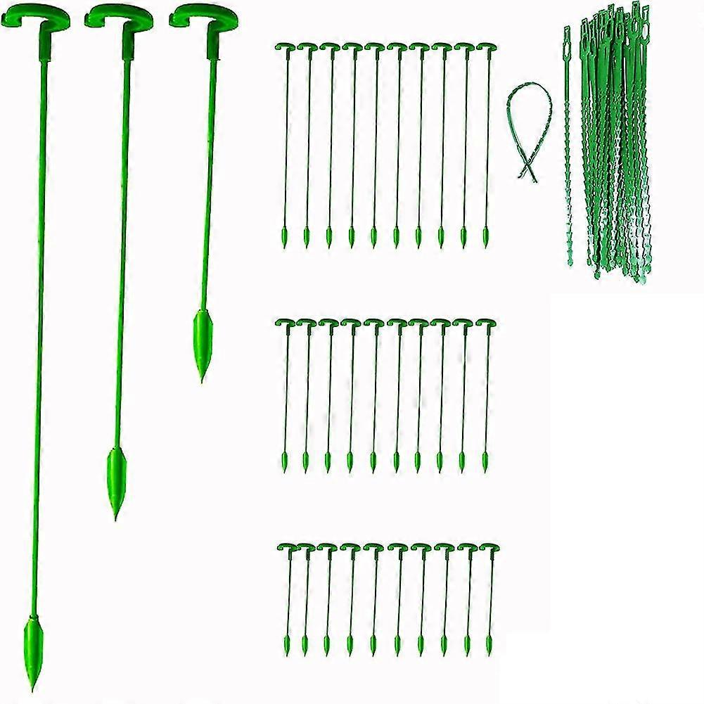 30 Pack Support Stakes, Garden Single Stemmed Support Stakes, Prop, Sticks
