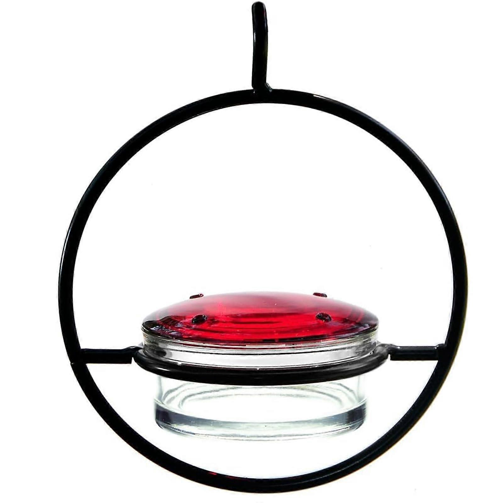 Slim Hummingbird Feeder 3.4oz Clear Glass Design for Outdoor Birdwatching and Easy Filling