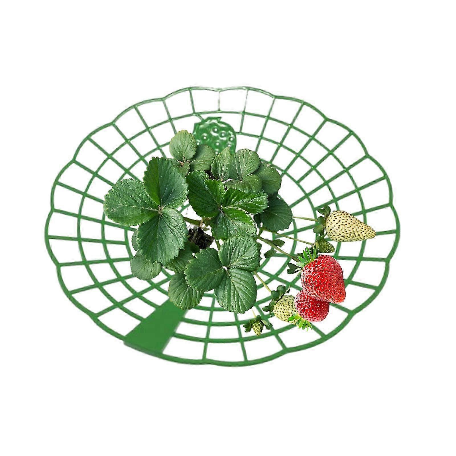 Sunflower & Strawberry Support Racks, 100 Pack, Keeps Plants Clean