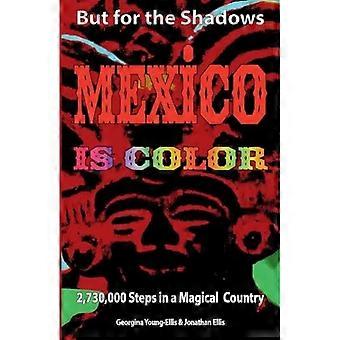Pero para las sombras, México es color: 2730000 pasos en un país mágico