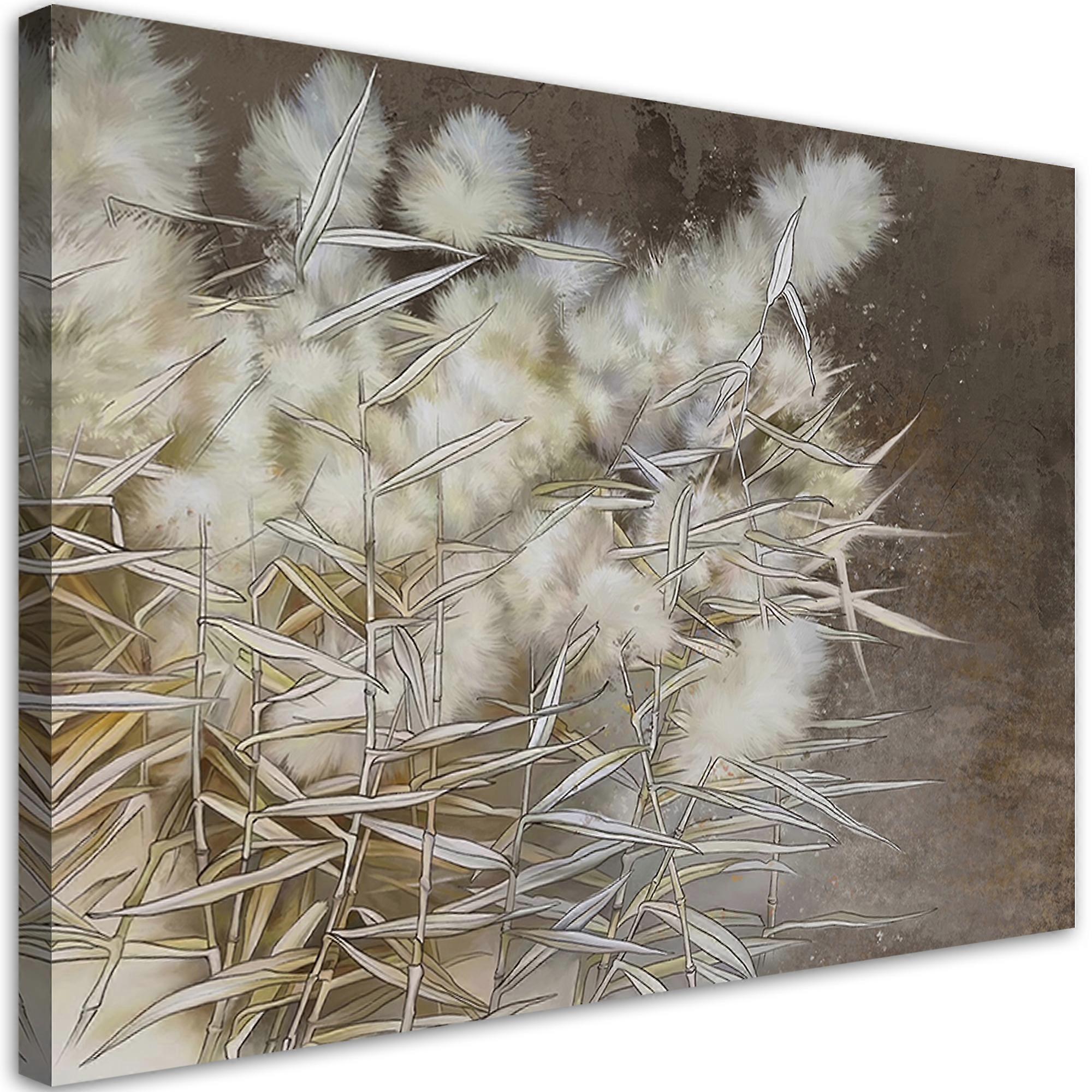 Leinwandbild, Schilfgras Boho - 60x40