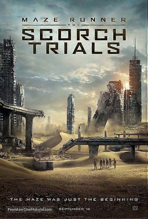 Maze Runner: The Scorch TrialsJigsaw Puzzle Brain Teaser EB 0140