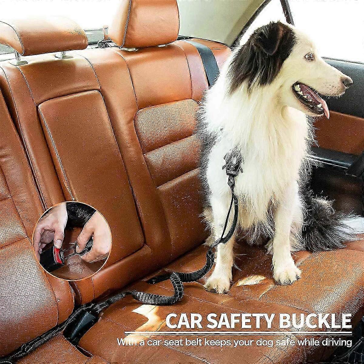 4-6FT Shock Absorbing Bungee Dog Leash+2 Padded Handle Black