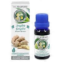 Ginger Essential Oil 15 ml (Ginger)
