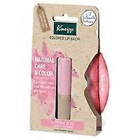 Tinted lip balm - natural 3.5 g