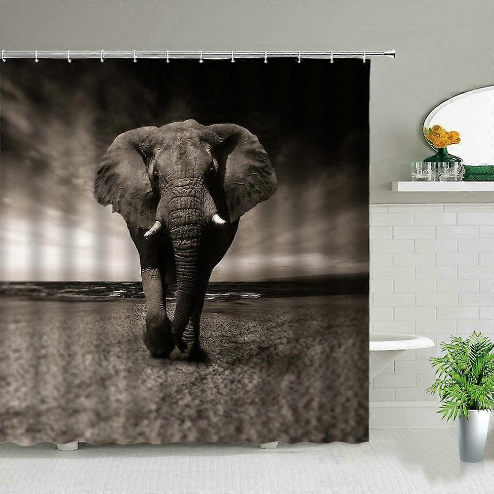 Bathroom Curtain  type-2941 Home Decor