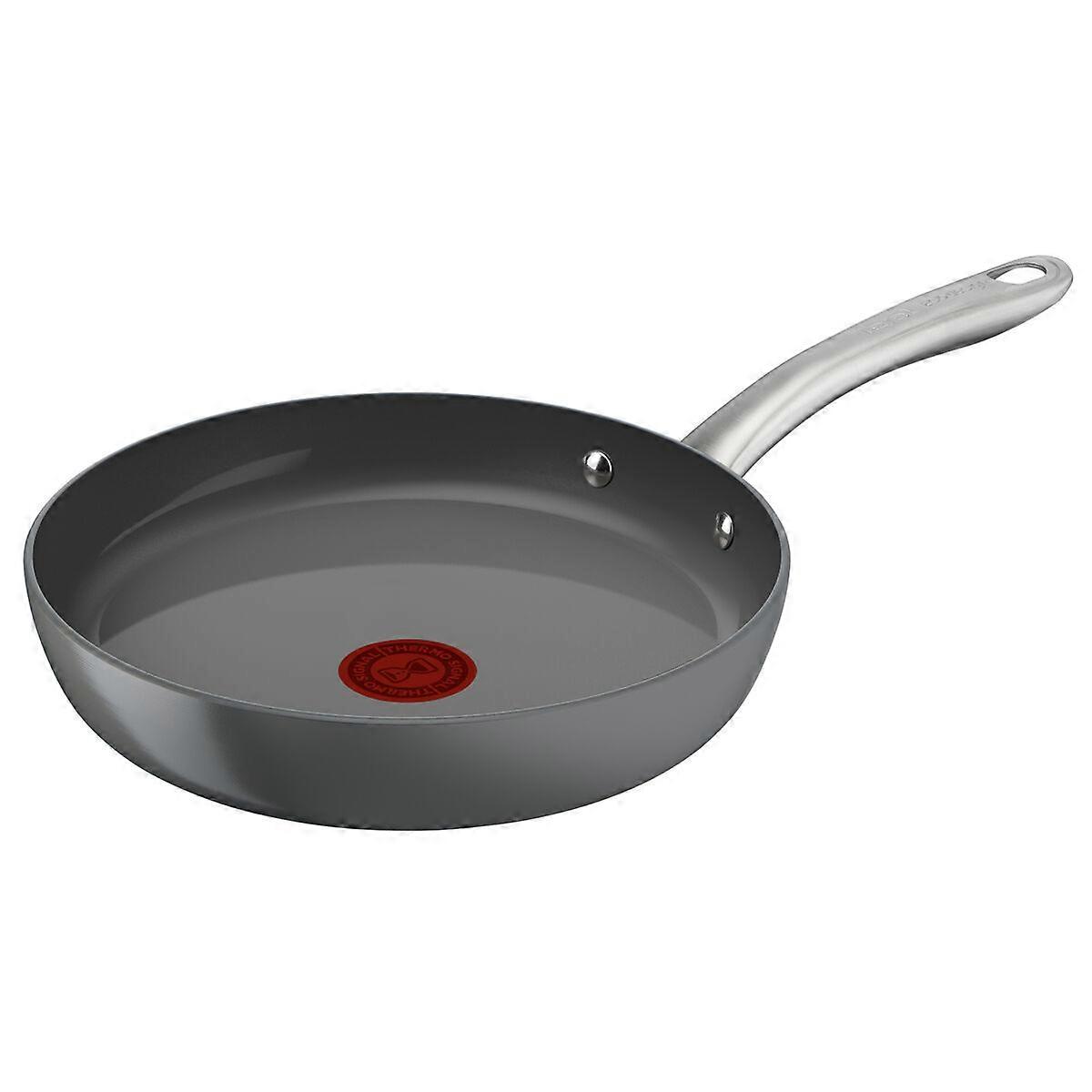 Pan Tefal C4240253 Gris Aluminio Ø 20 cm