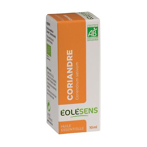 Coriander 10 ml of essential oil