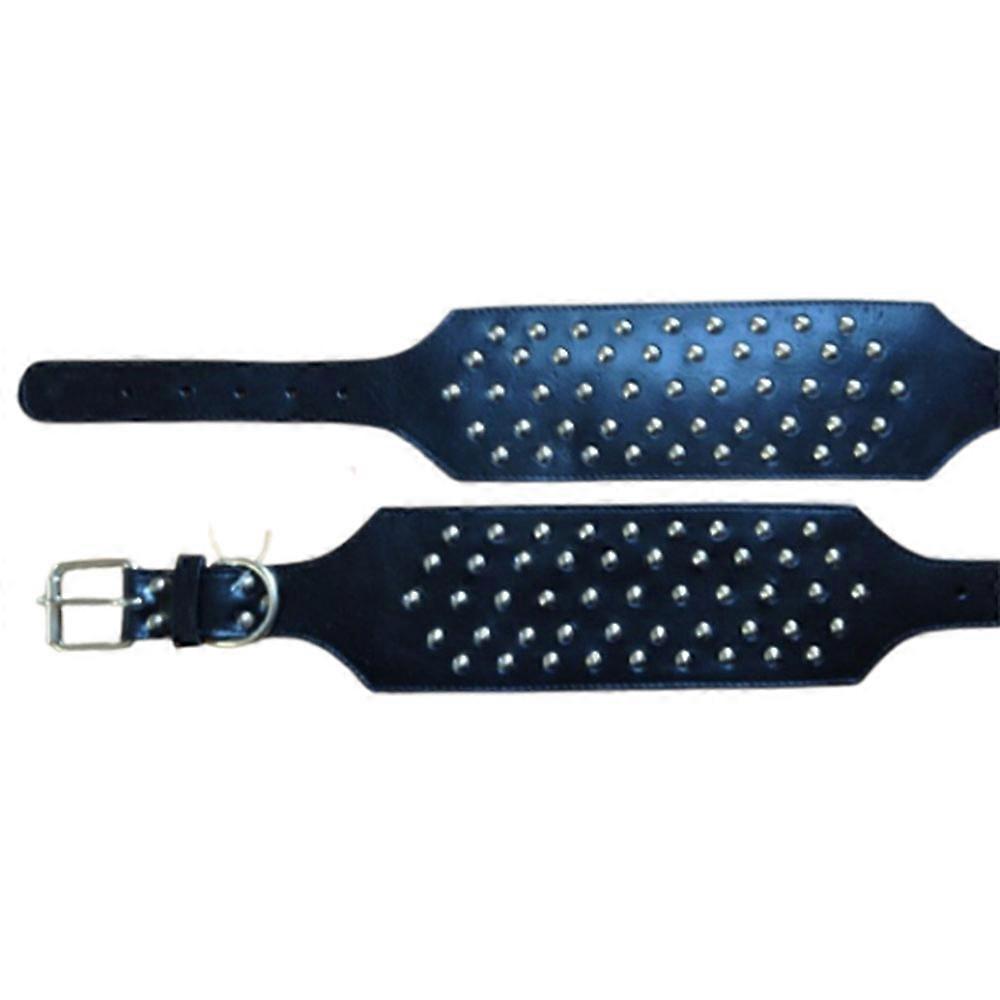 Premium Quality and Durable Studded Collar for Pig Size 10x65cm