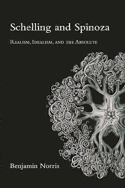 Schelling And Spinoza by Benjamin Norris Paperback Book